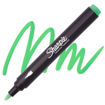 Picture of SHARPIE CREATIVE PERMANENT BULLET MARKER EMERALD GREEN